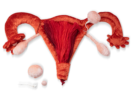 Utérus en peluche Paomi