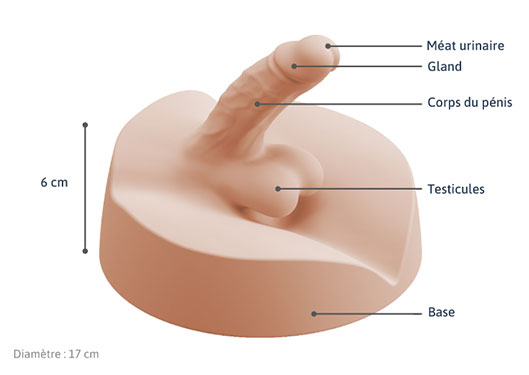 Pénisen silicone pour education sexuel medintim 