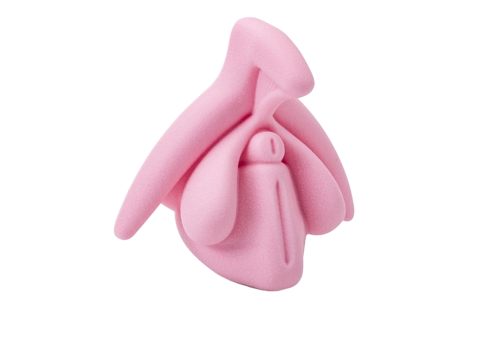 Modèle clitoris taille réelle