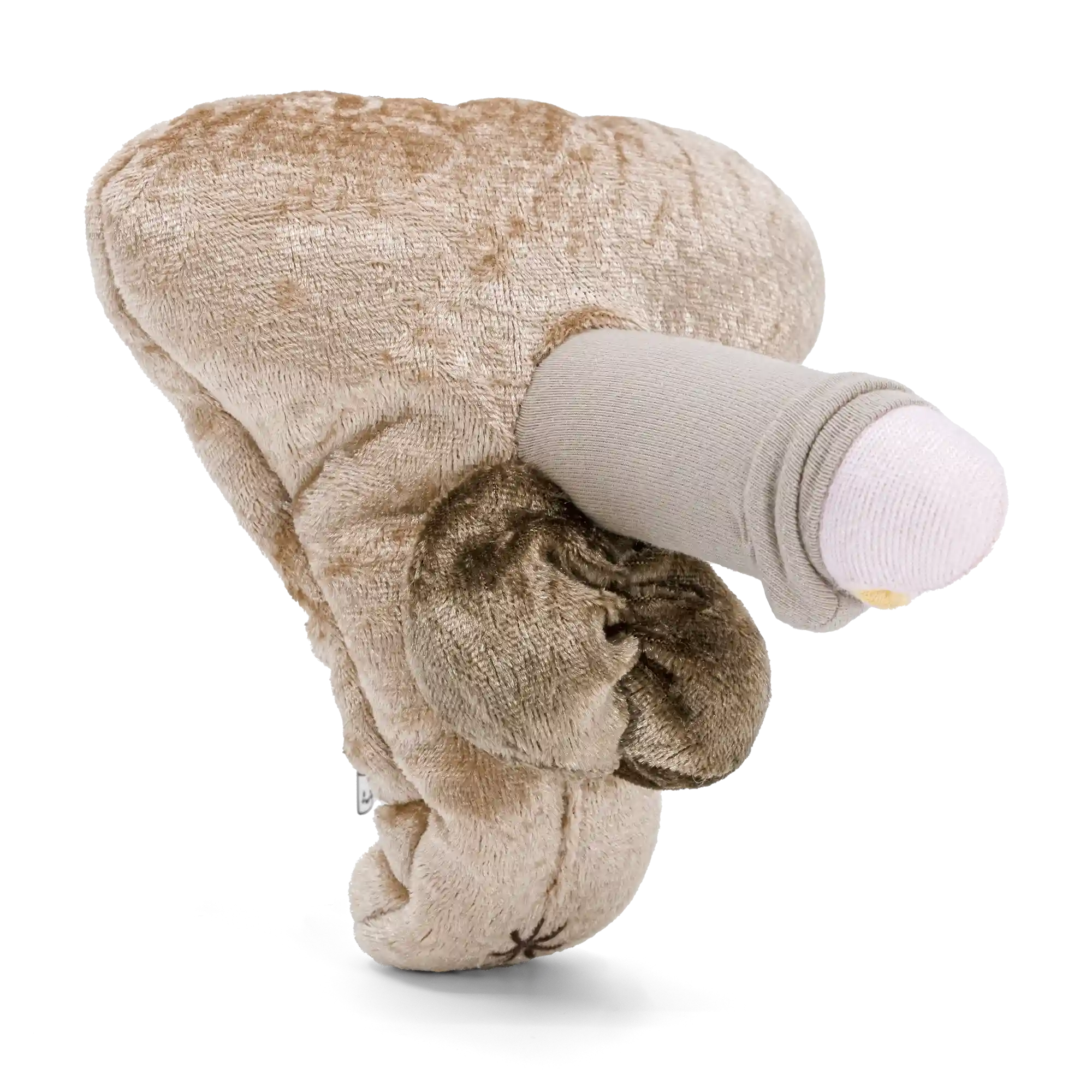 Paomi Pénis hypospadias