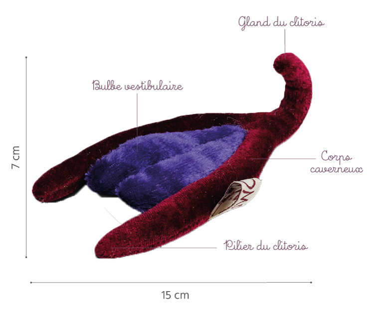 clitoris peluche légendes