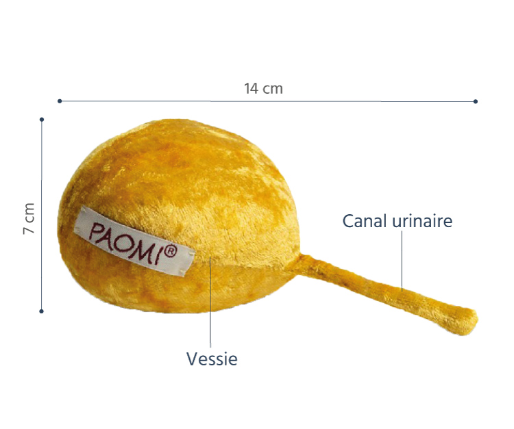 vessie en peluche légendes 