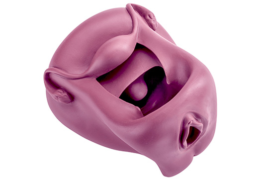 Modèle anatomique vagin/vulve mauve 