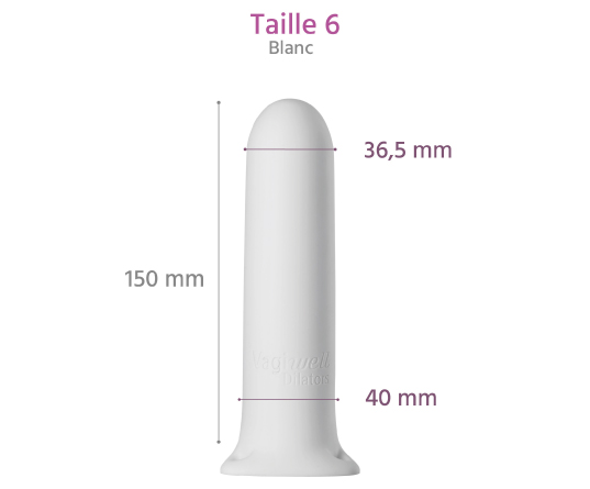 dilatateur vaginoplastie dimensions