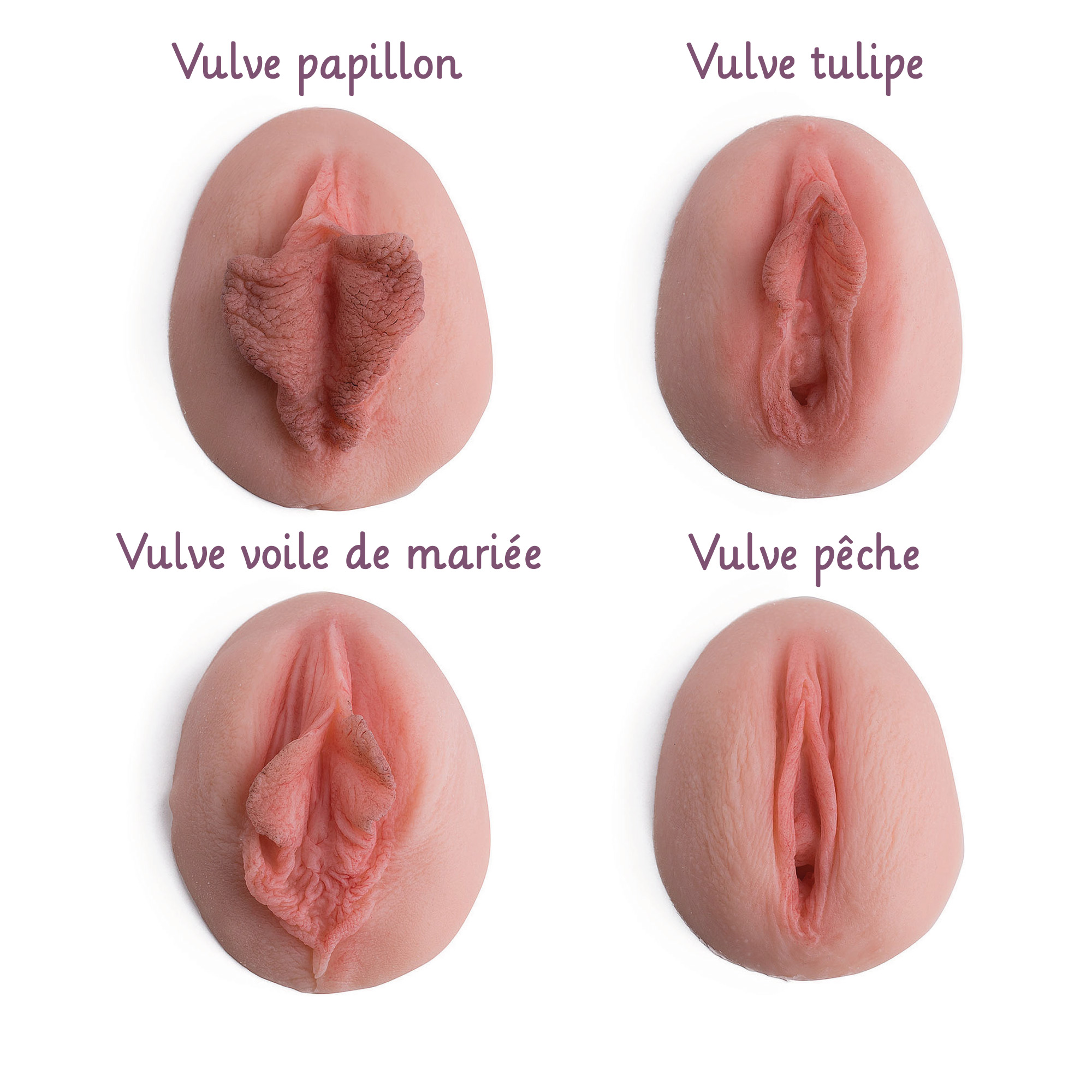 Lot de vulves en silicone