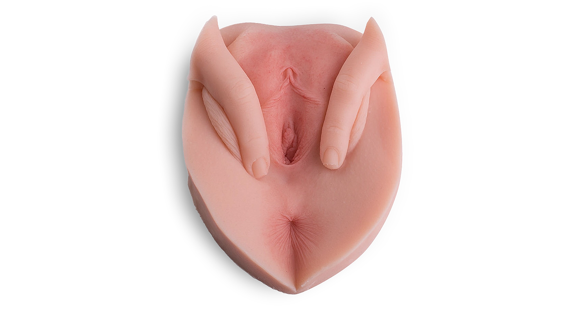 Vulve en silicone avec lèvres écartées