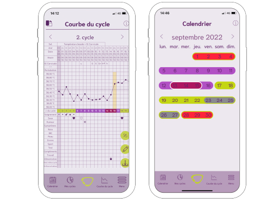 Présentation de la courbe de cycle et du calendrier de l'application