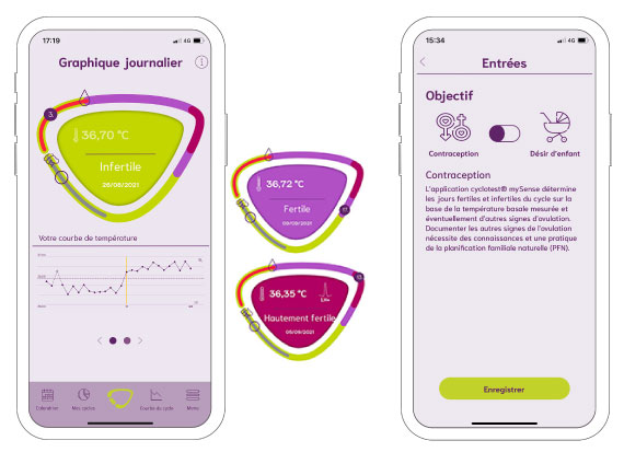 Présentation du graphique journalier de l'application