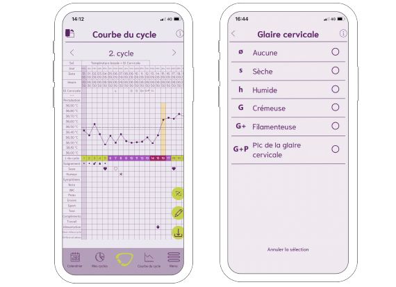 Présentation de la courbe de cycle et de la glaire dans l'application